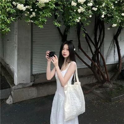 龙飞凤舞